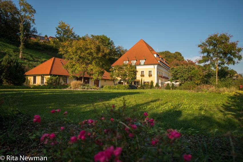 Landhotel Wachau Emmersdorf an der Donau Exterior photo